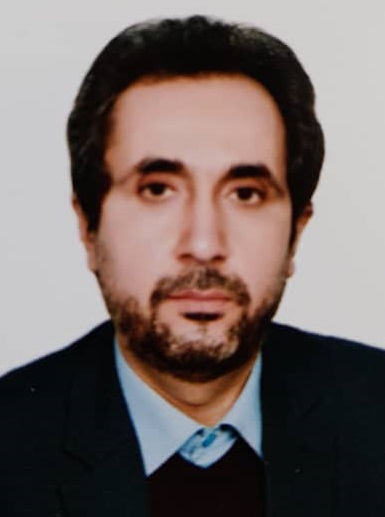 دکتر محمد حسن امی